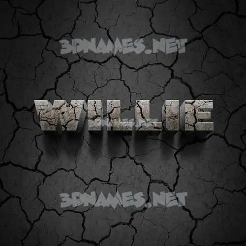 willie in Cracked Stone style - 3D name wallpaper