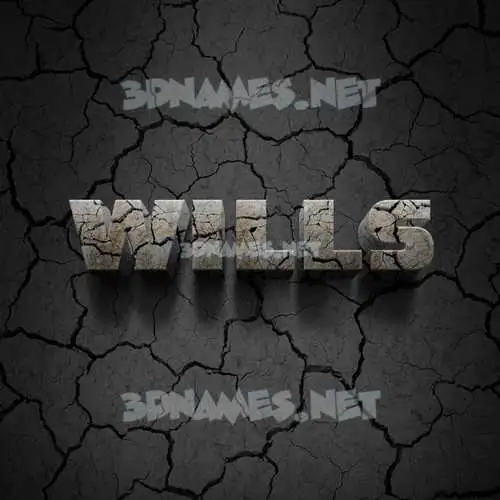 wills in Cracked Stone style - 3D name wallpaper wills in Cracked Stone style - 3D name wallpaper
