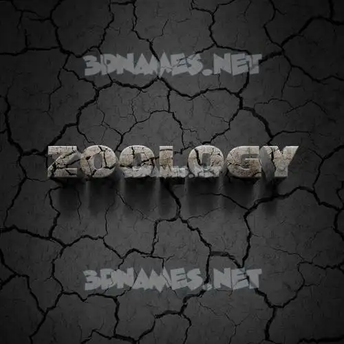 zoology in Cracked Stone style - 3D name wallpaper