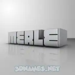 merle in White Metro style - 3D name wallpaper