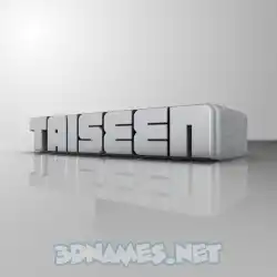 taiseen in White Metro style - 3D name wallpaper