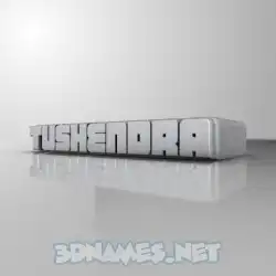 tushendra in White Metro style - 3D name wallpaper