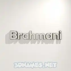 brahmani in White Logo Warm style - 3D name wallpaper