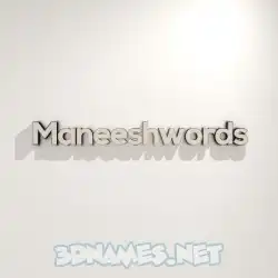 maneeshwords in White Logo Warm style - 3D name wallpaper
