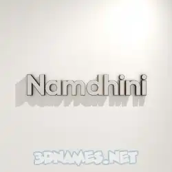 namdhini in White Logo Warm style - 3D name wallpaper
