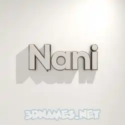 nani in White Logo Warm style - 3D name wallpaper