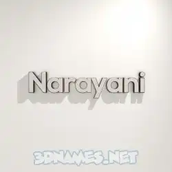 narayani in White Logo Warm style - 3D name wallpaper