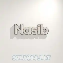 nasib in White Logo Warm style - 3D name wallpaper