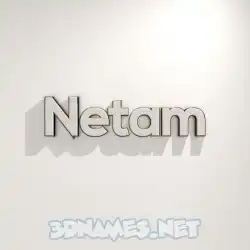 netam in White Logo Warm style - 3D name wallpaper