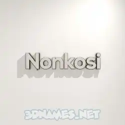 nonkosi in White Logo Warm style - 3D name wallpaper