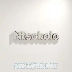 ntsokolo in White Logo Warm style - 3D name wallpaper