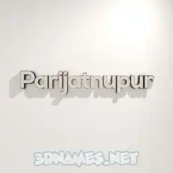 parijatnupur in White Logo Warm style - 3D name wallpaper