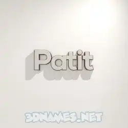patit in White Logo Warm style - 3D name wallpaper