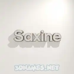 saxine in White Logo Warm style - 3D name wallpaper