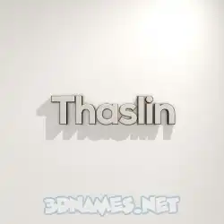 thaslin in White Logo Warm style - 3D name wallpaper