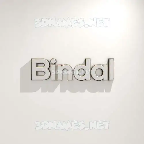 bindal in White Logo Warm style - 3D name wallpaper bindal in White Logo Warm style - 3D name wallpaper