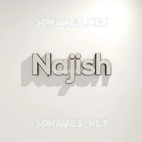 najish in White Logo Warm style - 3D name wallpaper najish in White Logo Warm style - 3D name wallpaper