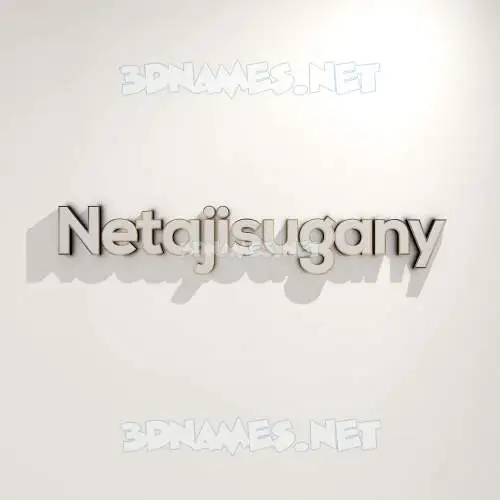 netajisugany in White Logo Warm style - 3D name wallpaper