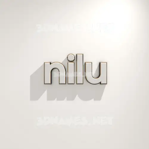 nilu in White Logo Warm style - 3D name wallpaper