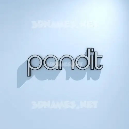pandit in White Logo Cold style - 3D name wallpaper pandit in White Logo Cold style - 3D name wallpaper