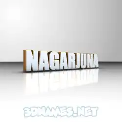 nagarjuna in White'n'Gold style - 3D name wallpaper