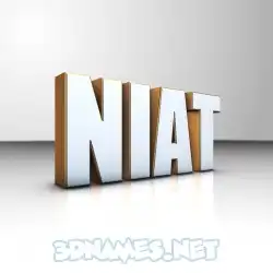 niat in White'n'Gold style - 3D name wallpaper