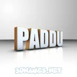 paddu in White'n'Gold style - 3D name wallpaper