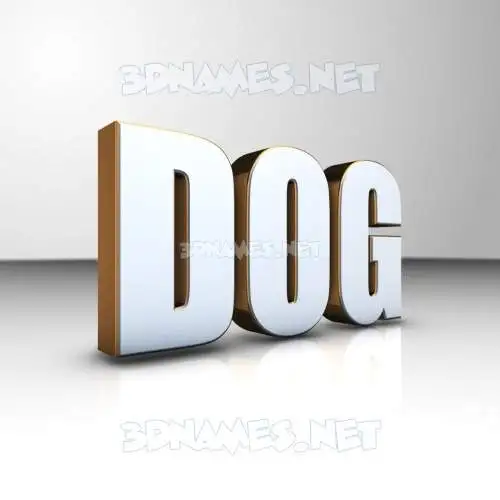 dog in White'n'Gold style - 3D name wallpaper dog in White'n'Gold style - 3D name wallpaper