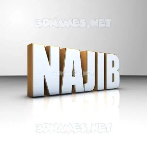 najib in White'n'Gold style - 3D name wallpaper
