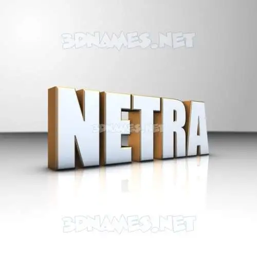 netra in White'n'Gold style - 3D name wallpaper netra in White'n'Gold style - 3D name wallpaper