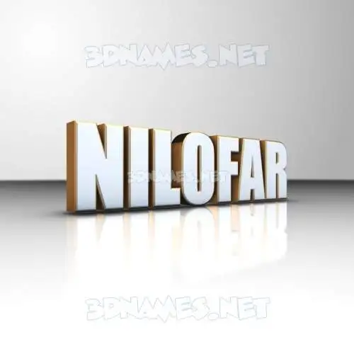 nilofar in White'n'Gold style - 3D name wallpaper nilofar in White'n'Gold style - 3D name wallpaper