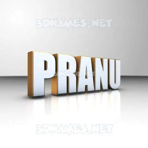 pranu in White'n'Gold style - 3D name wallpaper pranu in White'n'Gold style - 3D name wallpaper