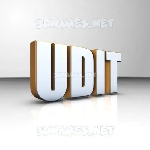 udit in White'n'Gold style - 3D name wallpaper udit in White'n'Gold style - 3D name wallpaper
