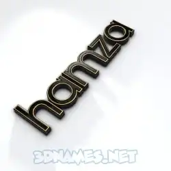 hamza in Black'n'White style - 3D name wallpaper
