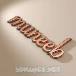 muneeb in Rose Gold style - 3D name wallpaper