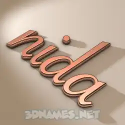 nida in Rose Gold style - 3D name wallpaper