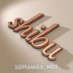 shibu in Rose Gold style - 3D name wallpaper