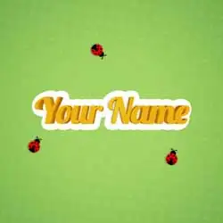 Ladybugs Text